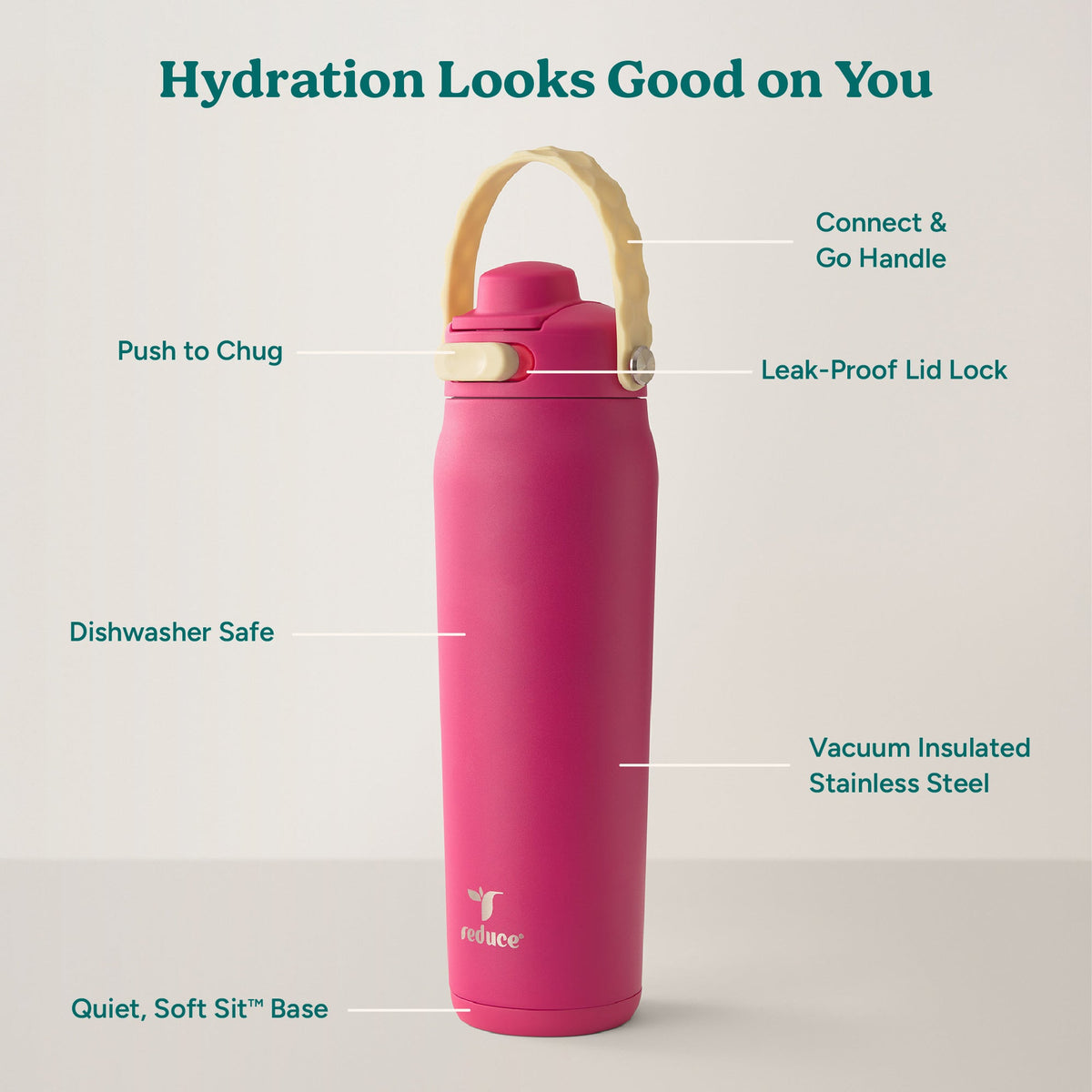 aura-26-oz-d9 Aura_26oz_DragonFruit_PDP_Infographic_2-03.jpg