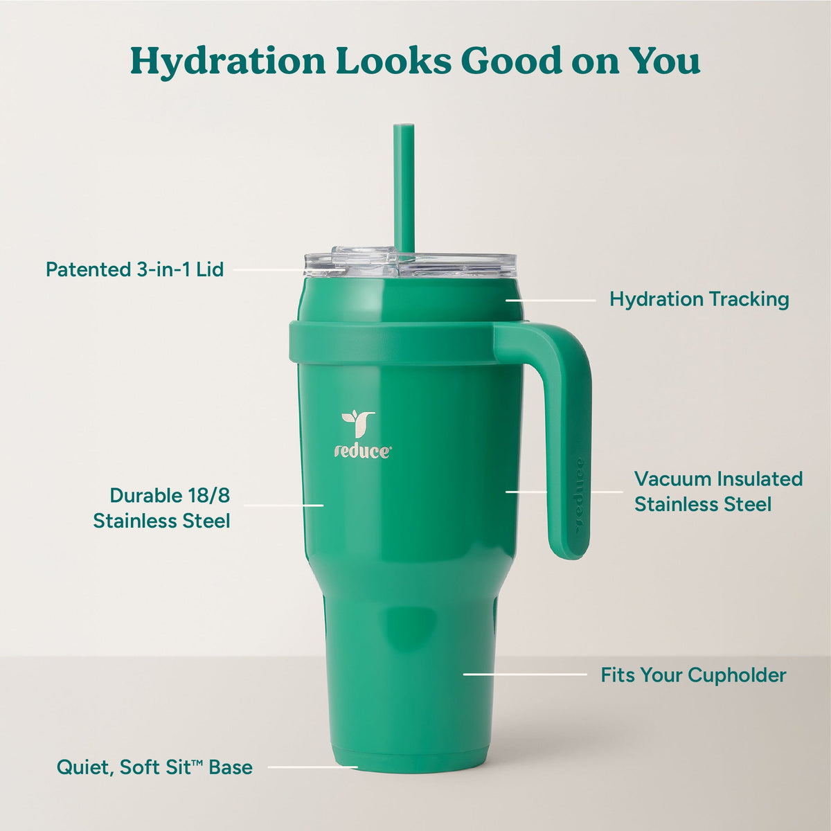 cold1-40-oz-s7 Cold1_40oz_PalmLeaf_Infographic_2.jpg