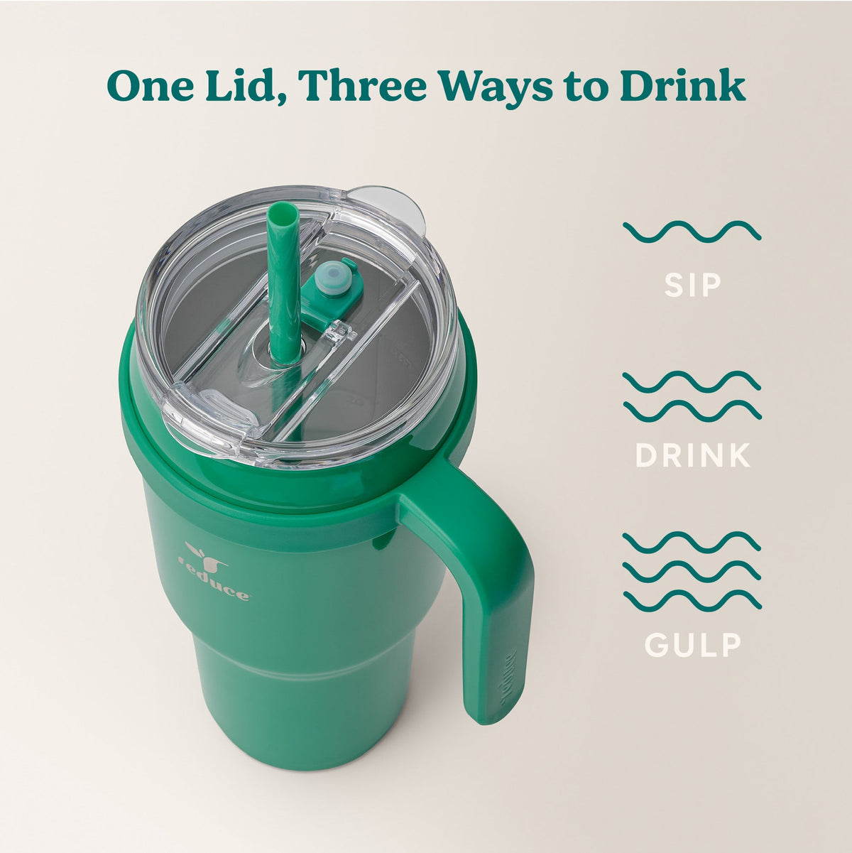 cold1-40-oz-s7 Cold1_40oz_PalmLeaf_Infographic_3.jpg