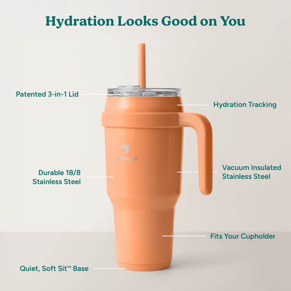 cold1-40-oz-s7 Cold1_40oz_Papaya_Infographic_2.jpg